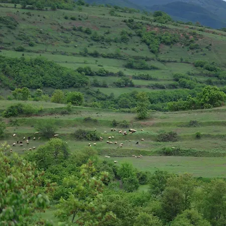 Muca Peshkopi
